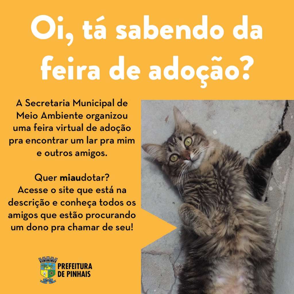 Feira e evento de adoção de cachorros e gatos em Pinhais - Paraná