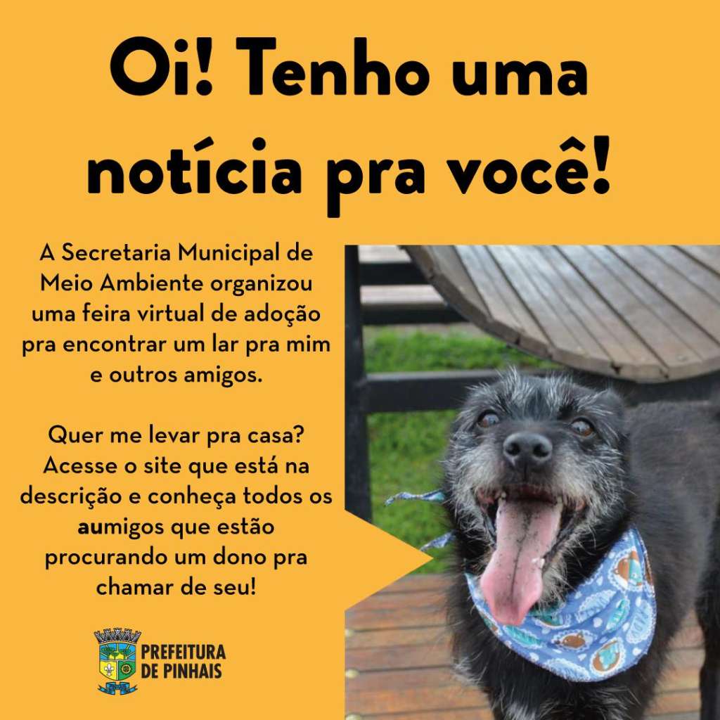 Feira e evento de adoção de cachorros e gatos -  em Paraná - Pinhais