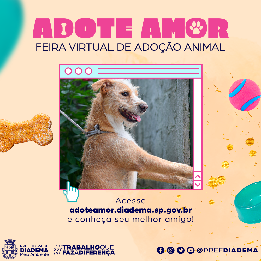 Feira e evento de adoção de cachorros e gatos em Diadema - São Paulo