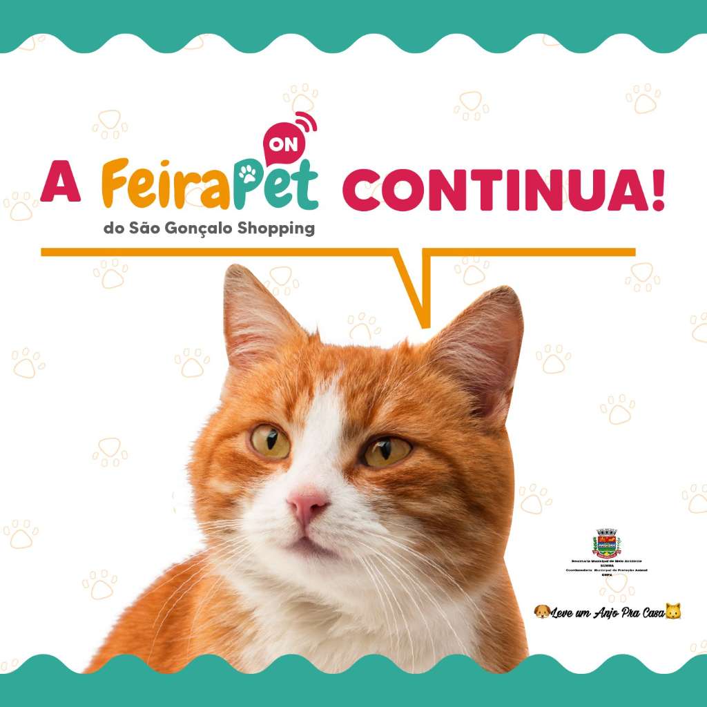 Feira e evento de adoção de cachorros e gatos em São Gonçalo - Rio de Janeiro