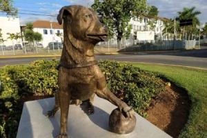 Cachorro é homenageado com estátua em São Paulo; saiba motivo