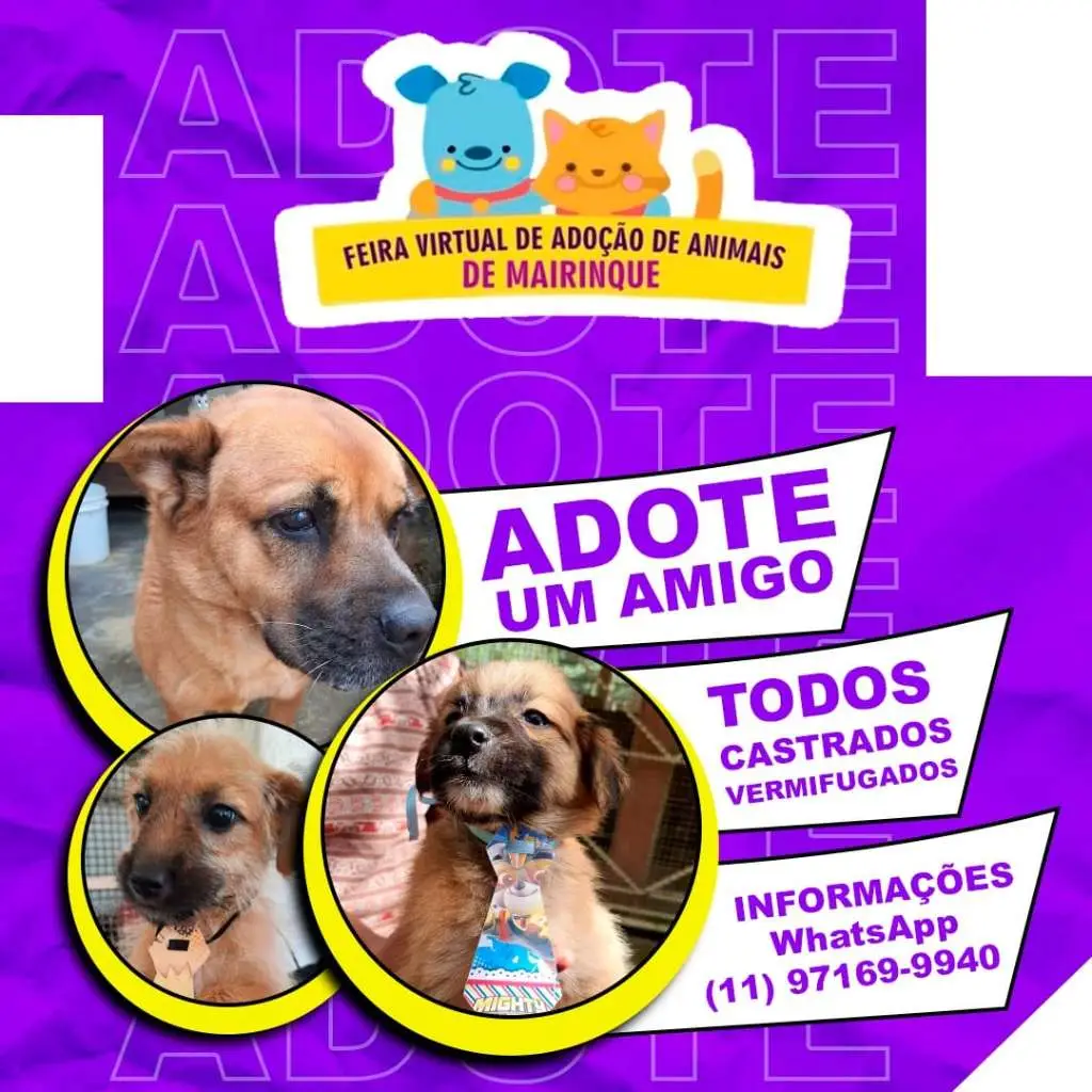 Petshops em Diadema - Amigo Fiel