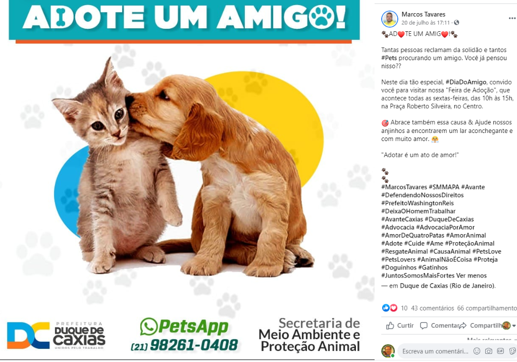 Feira e evento de adoção de cachorros e gatos - Encontre seu Novo Melhor Amigo em Duque de Caxias! em Rio de Janeiro - Duque de Caxias