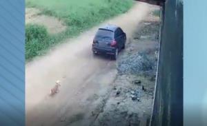 Cachorrinho corre desesperado atrás de carro após ser abandonado em SC; vídeo