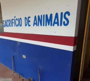 Polícia abre inquérito e investiga denúncia de cães mortos eletrocutados em Barras, no Piauí