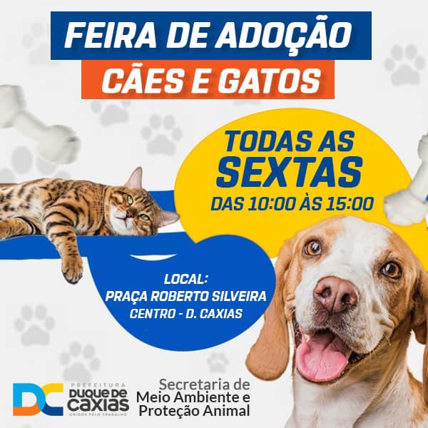 Feira e evento de adoção de cachorros e gatos - Abrace uma Nova História de Amor na Feira de Adoção em Duque de Caxias! em Rio de Janeiro - Duque de Caxias
