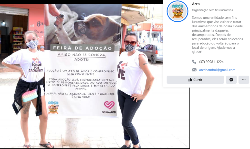 Feira e evento de adoção de cachorros e gatos em Bambuí - Minas Gerais