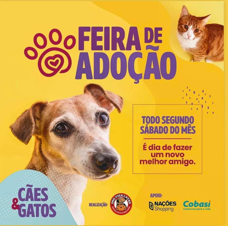 Feira e evento de adoção de cachorros e gatos em Criciúma - Santa Catarina
