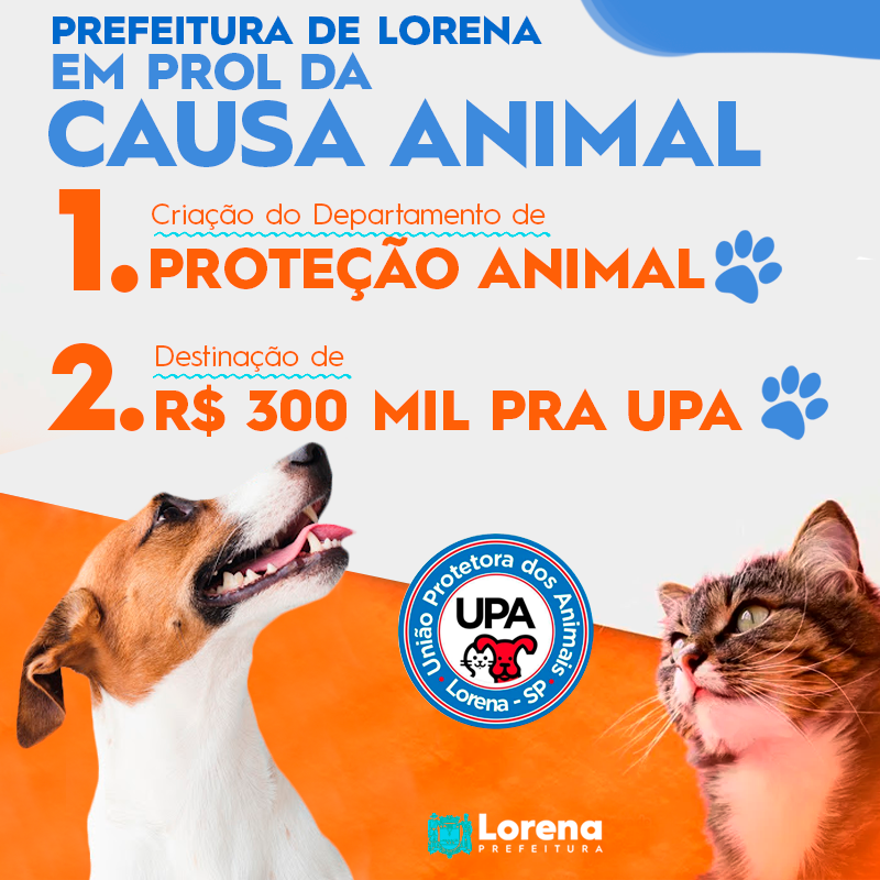 Feira e evento de adoção de cachorros e gatos -  em São Paulo - Lorena