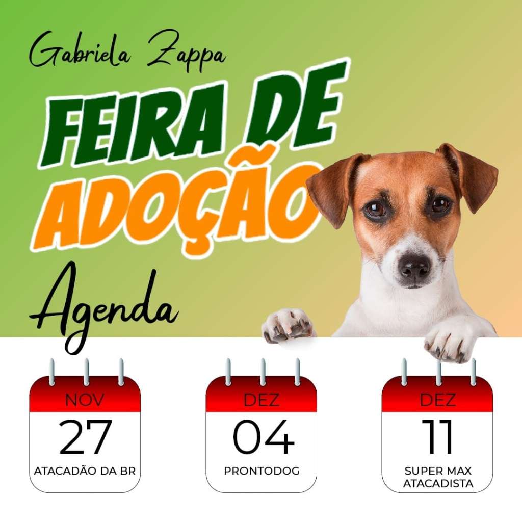 Feira e evento de adoção de cachorros e gatos -  em Paraná - Foz do Iguaçu