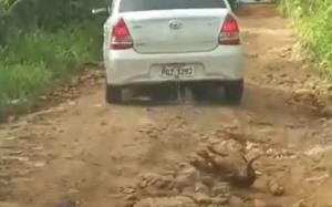 Homem arrastando seu próprio cachorro é filmado em Jaraguá 
