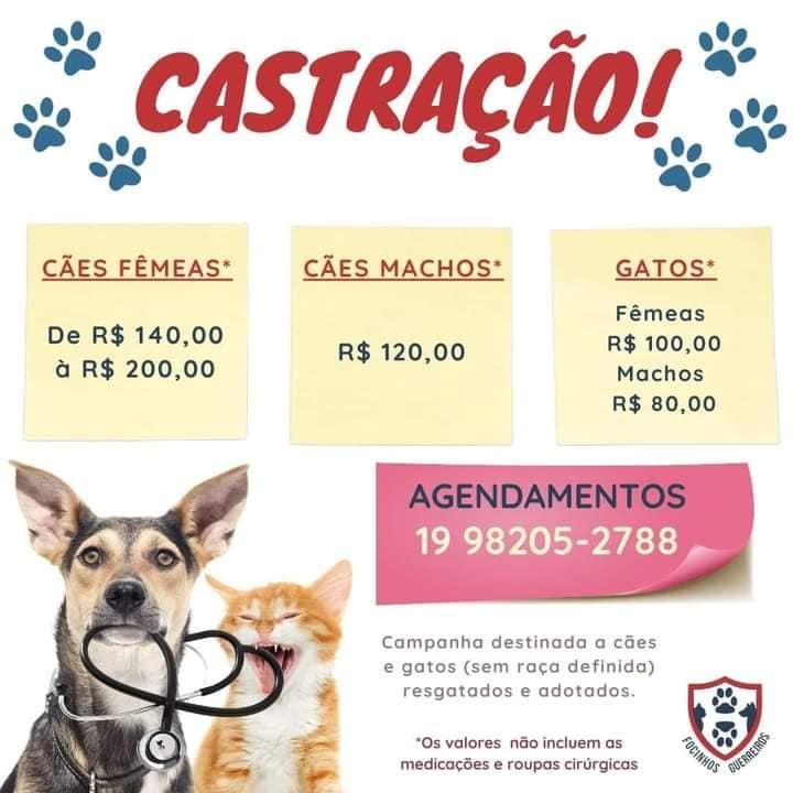 Feira e evento de adoção de cachorros e gatos em Vinhedo - São Paulo