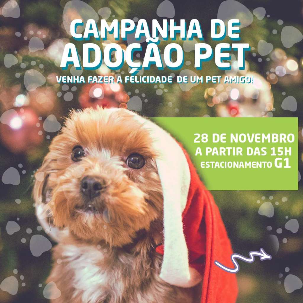 Feira e evento de adoção de cachorros e gatos -  em Bahia - Feira de Santana