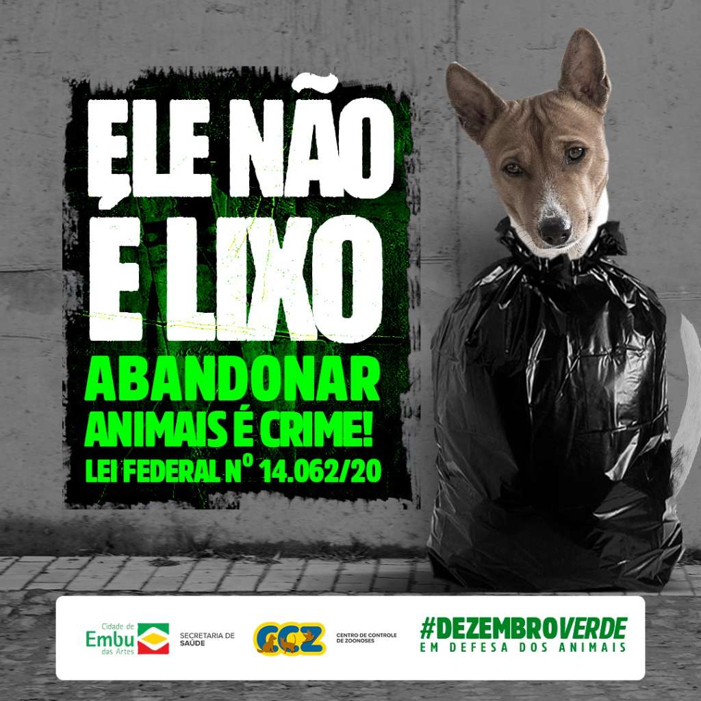 Feira e evento de adoção de cachorros e gatos -  em São Paulo - Embú das Artes