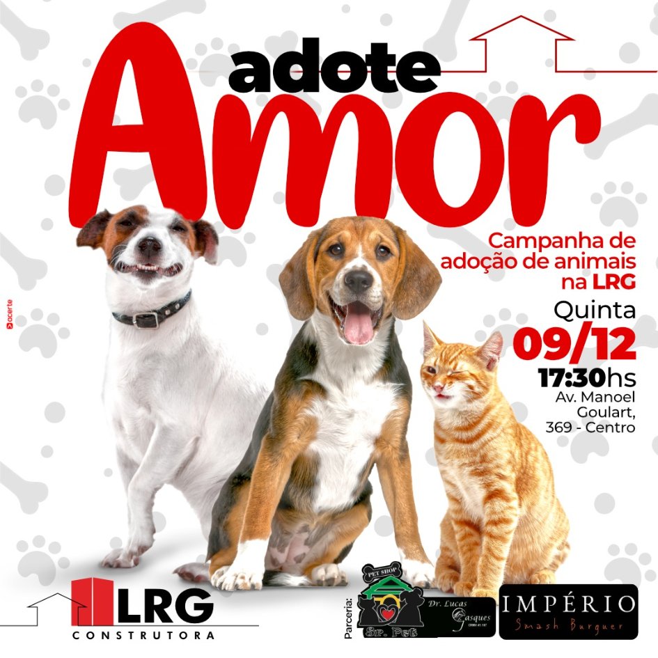 Feira e evento de adoção de cachorros e gatos -  em São Paulo - Presidente Prudente