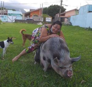 Mulher compra mini porco em SP e o porquinho vira 'princesa' com 250 kg: 'Querem comer ela'