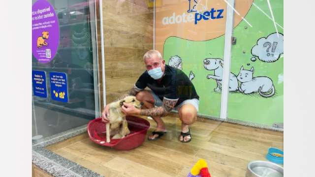 Cachorro resgatado em Manaus é adotado e vai morar na Holanda