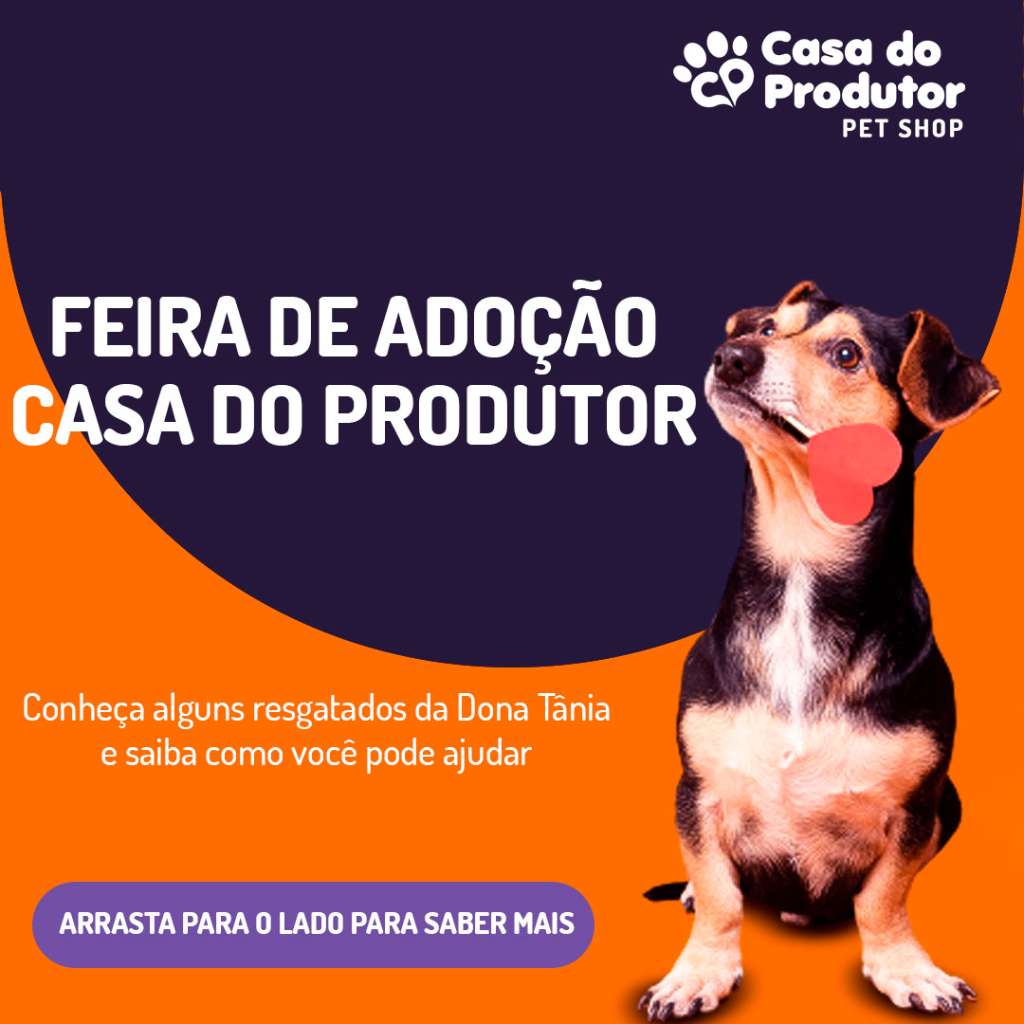 Feira e evento de adoção de cachorros e gatos -  em Paraná - Curitiba