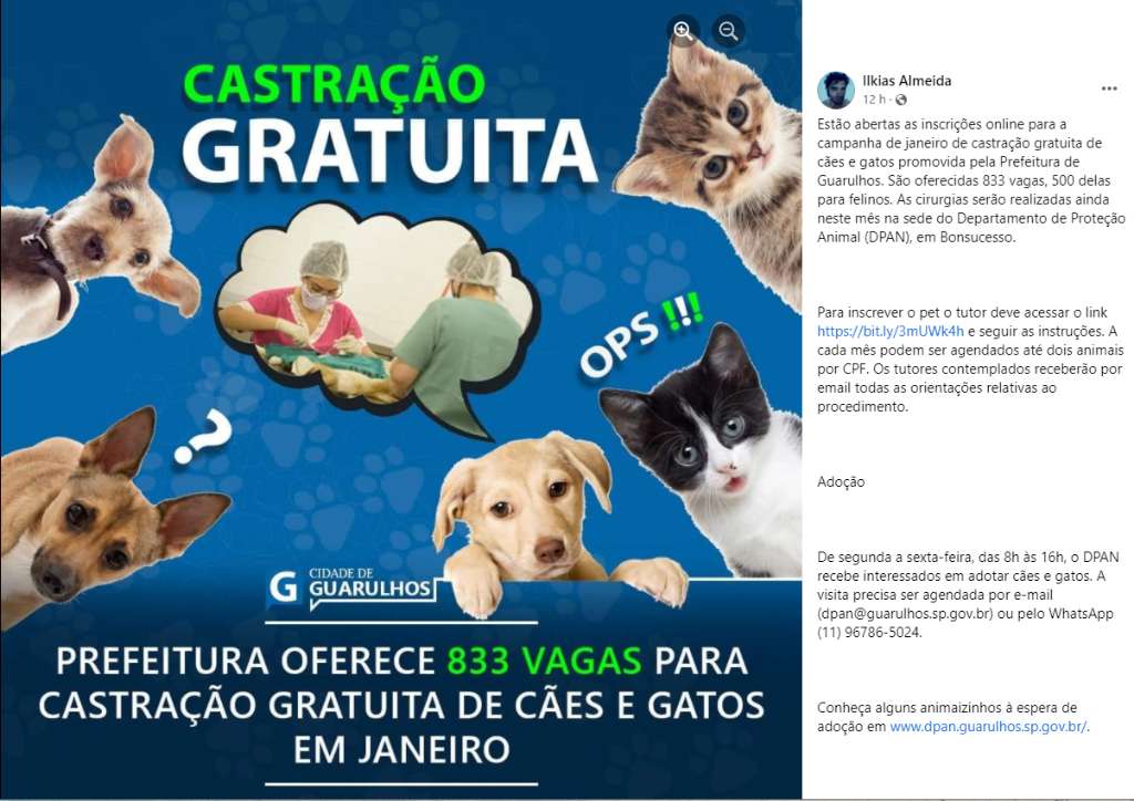 Feira e evento de adoção de cachorros e gatos -  em São Paulo - Guarulhos