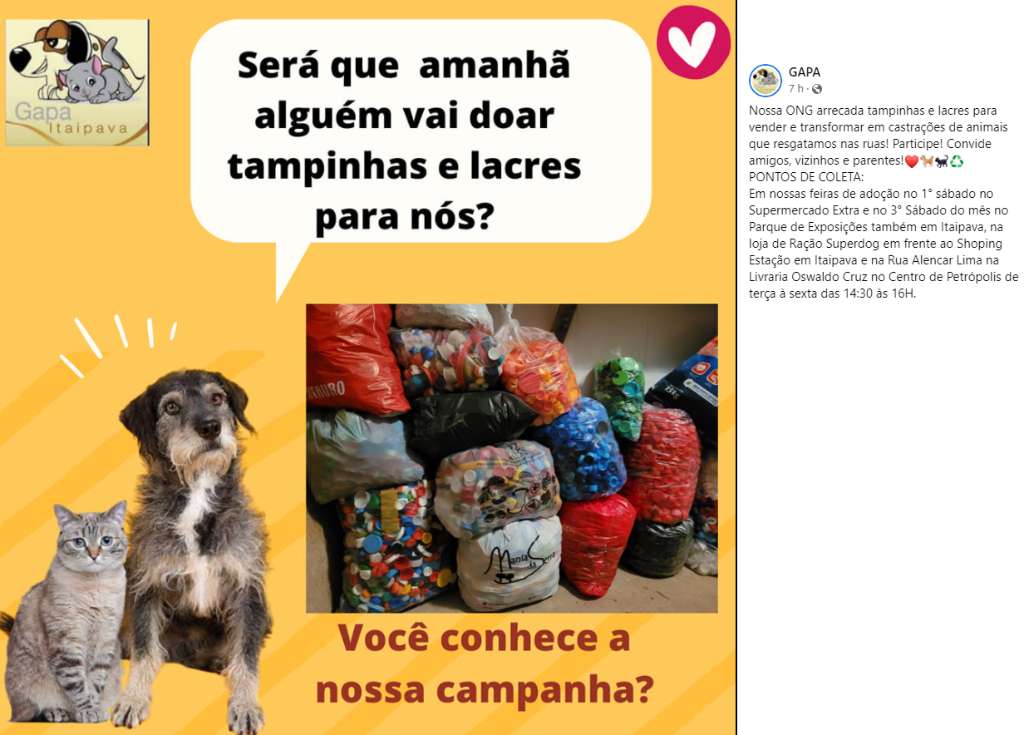Feira e evento de adoção de cachorros e gatos em Petrópolis - Rio de Janeiro