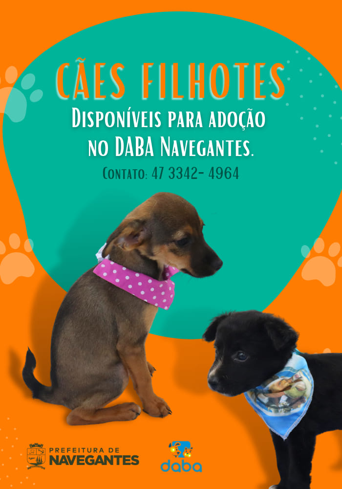 Feira e evento de adoção de cachorros e gatos - Amor Incondicional em Quatro Patas: Adote um Amigo em Navegantes! em Santa Catarina - Navegantes