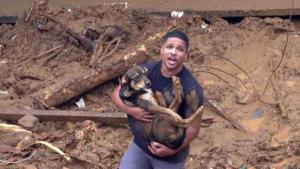 Após deslizamentos em Petrópolis morador reencontra seu cãozinho perdido