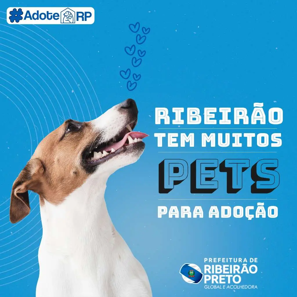 Ribeirão Adota: Encontre seu Novo Amigo de Quatro Patas!