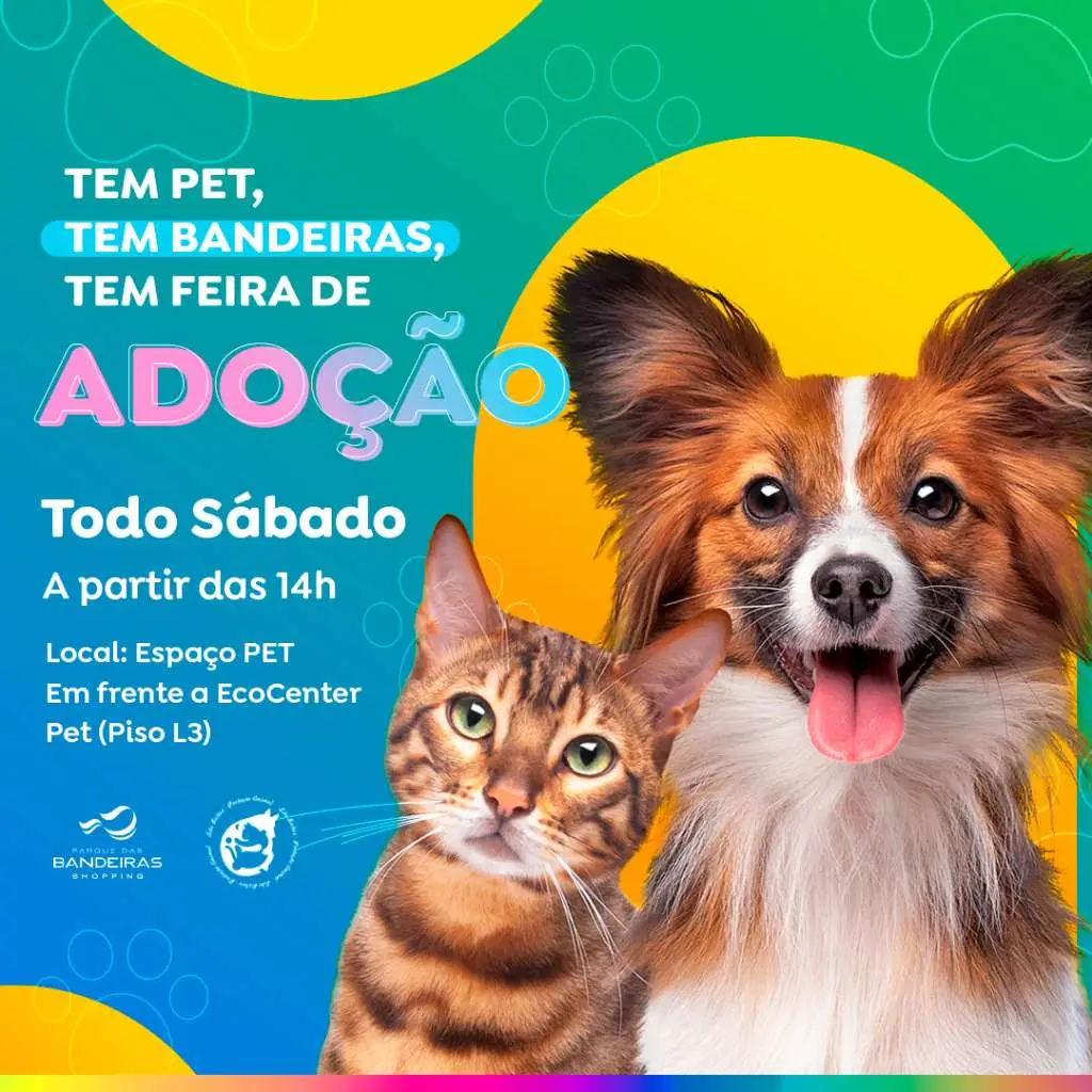 Feira de Adoção de Animais em Campinas: Encontre seu Novo Amigo!