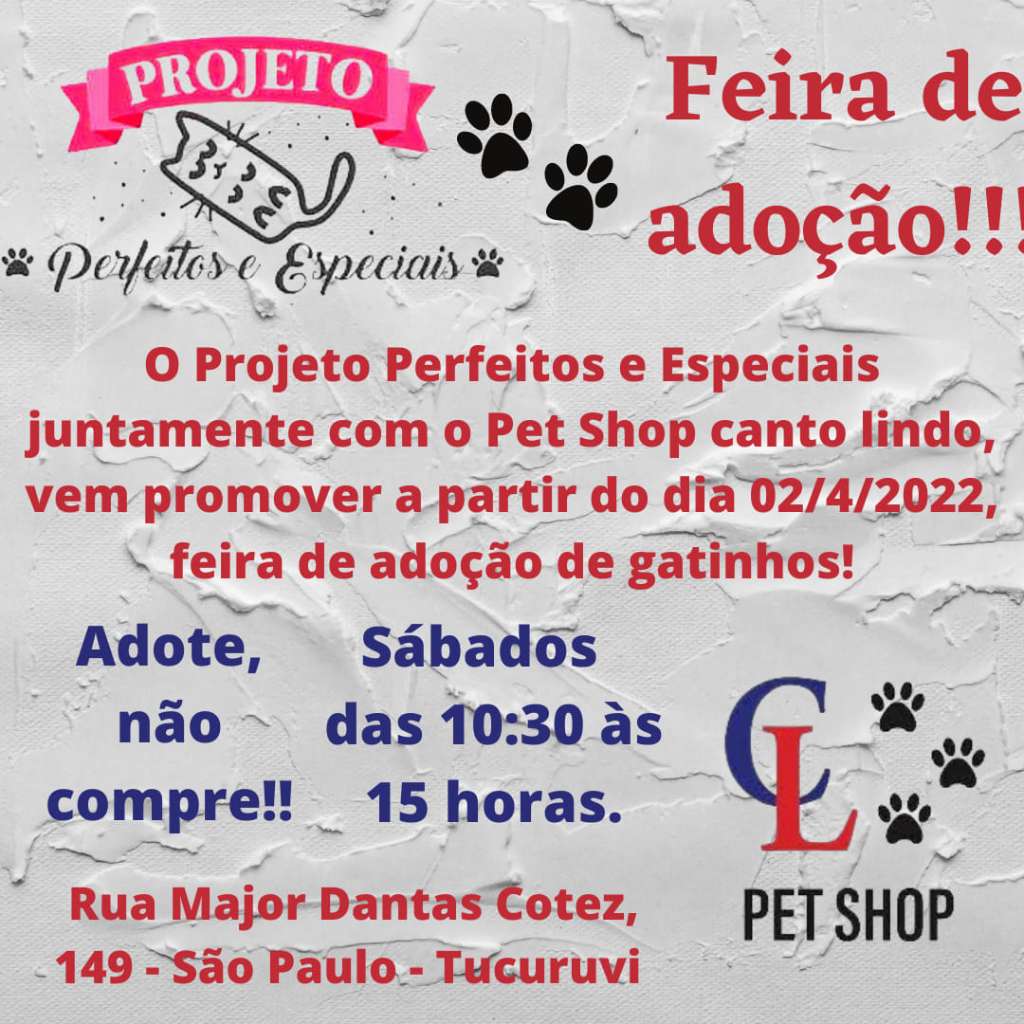 Feira e evento de adoção de cachorros e gatos em Miracema do Tocantins - Tocantins