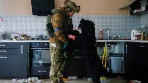 Cão é resgatado em meio aos escombros de vila abandonada em Kiev na ucrânia