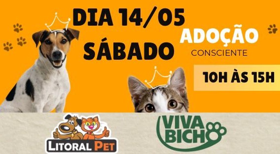Feira e evento de adoção de cachorros e gatos em Balneário Camboriú - Santa Catarina