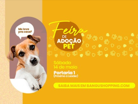 Feira e evento de adoção de cachorros e gatos em Rio de Janeiro - Rio de Janeiro