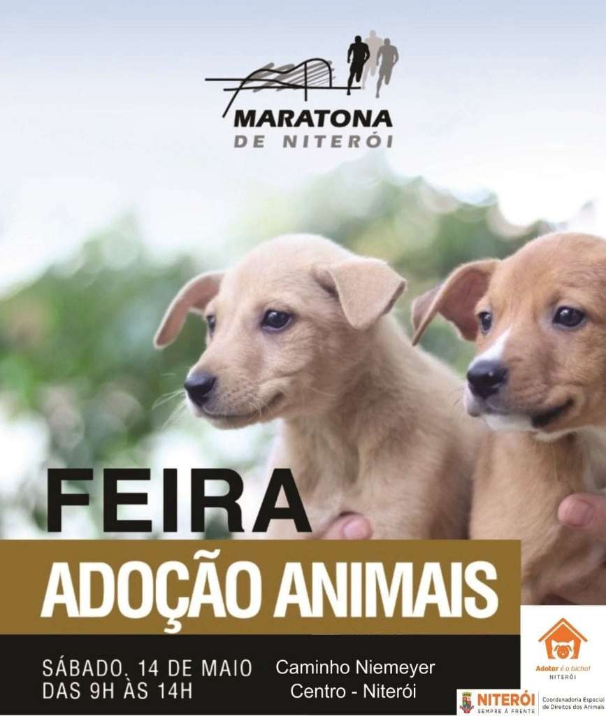 Feira e evento de adoção de cachorros e gatos em Niterói - Rio de Janeiro
