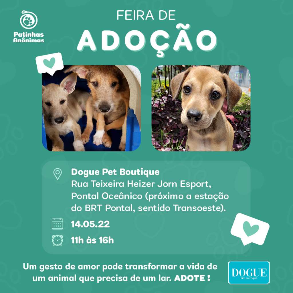 Feira e evento de adoção de cachorros e gatos em Rio de Janeiro - Rio de Janeiro