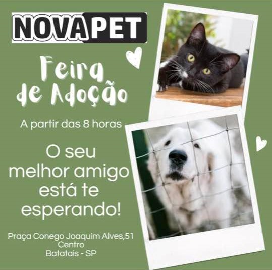 Feira e evento de adoção de cachorros e gatos -  em São Paulo - Batatais