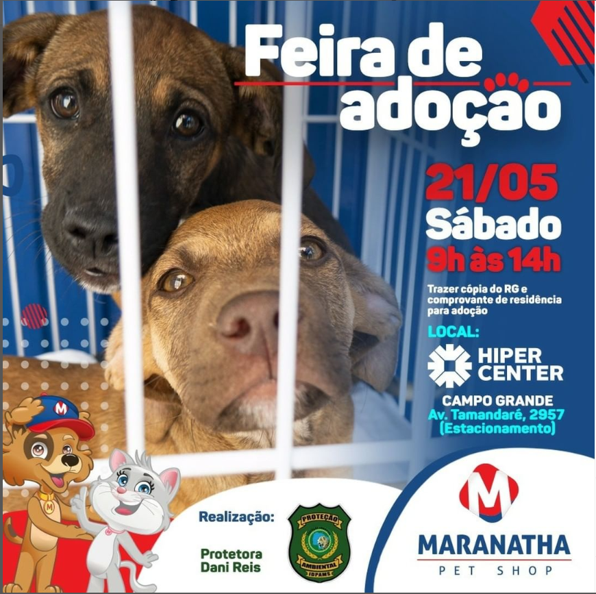 Feira e evento de adoção de cachorros e gatos -  em Mato Grosso do Sul - Campo Grande