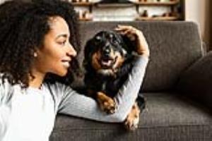 Adoção de cachorro: tudo que você precisa saber