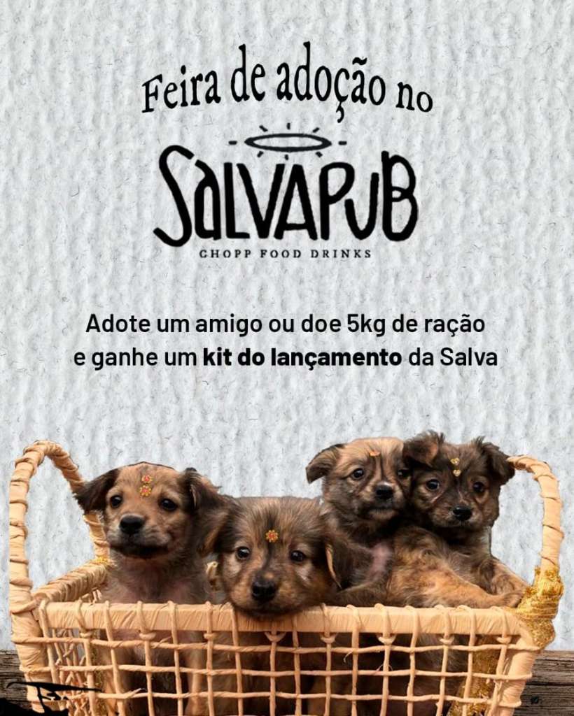 Feira e evento de adoção de cachorros e gatos -  em Rio Grande do Sul - Encantado