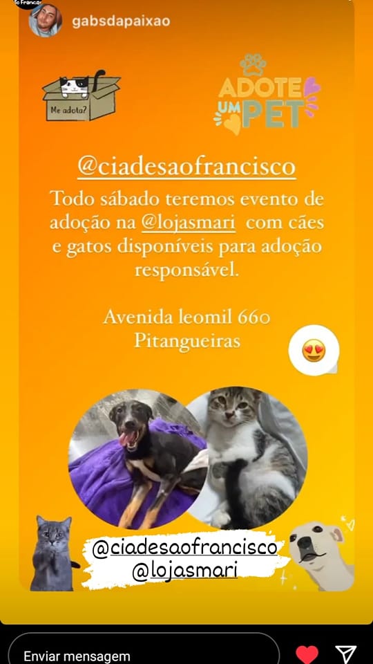 Eventos de adoção de cachorros e gatos - Encontre seu Novo Melhor Amigo - Adoção de Pets no Guarujá! em SP - Guarujá