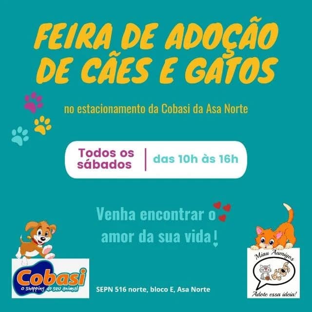 Feira e evento de adoção de cachorros e gatos - Encontre seu Novo Amigo: Feira de Adoção em Asa Norte! em Distrito Federal - Brasília