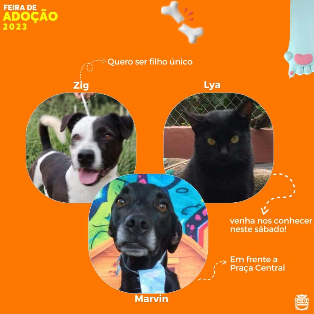 Feira e evento de adoção de cachorros e gatos -  em São Paulo - Jandira