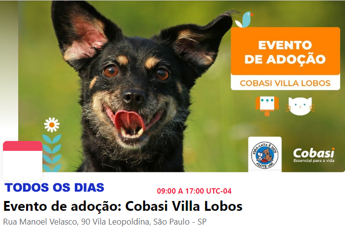 Feira e evento de adoção de cachorros e gatos - Abra Seu Coração: Adote um Amigo na Cobasi Villa Lobos em São Paulo - São Paulo