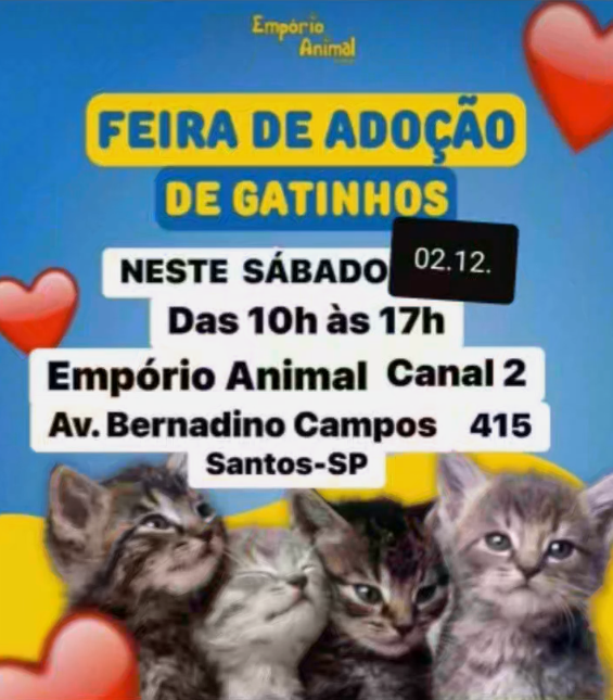 Feira e evento de adoção de cachorros e gatos -  em São Paulo - Santos