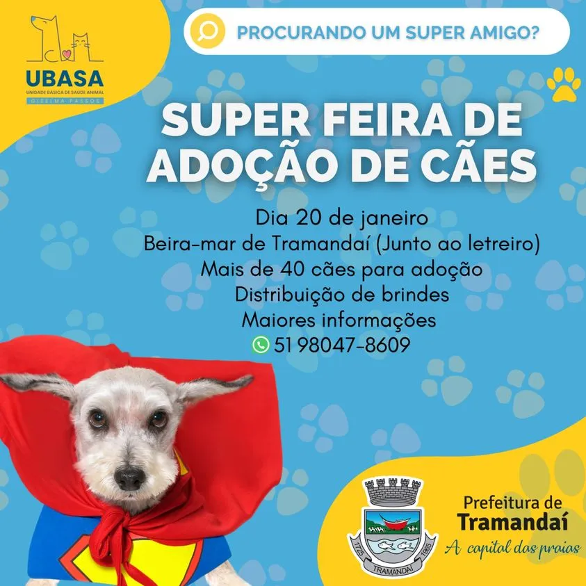 Super Feira de Adoção de Cães em Tramandaí: Encontre seu Super-Herói!