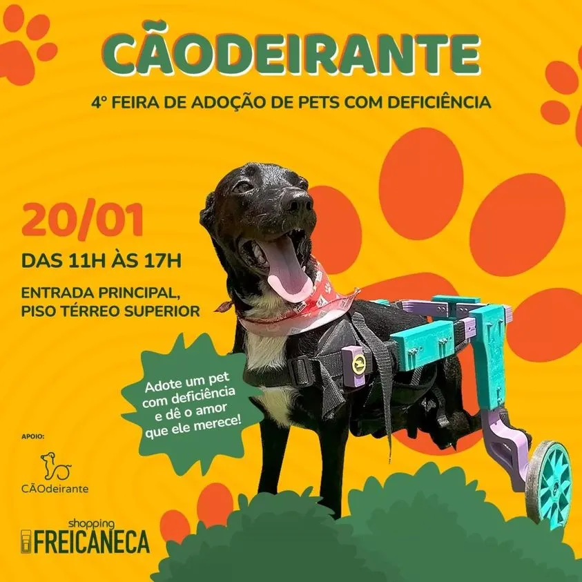 CãoDeirante - Feira de Adoção de Pets Especiais em São Paulo