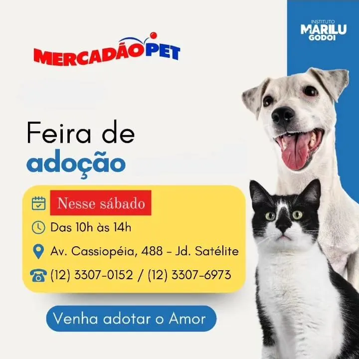 Feira de Adoção de Animais: Encontre seu Novo Amigo em São José dos Campos!