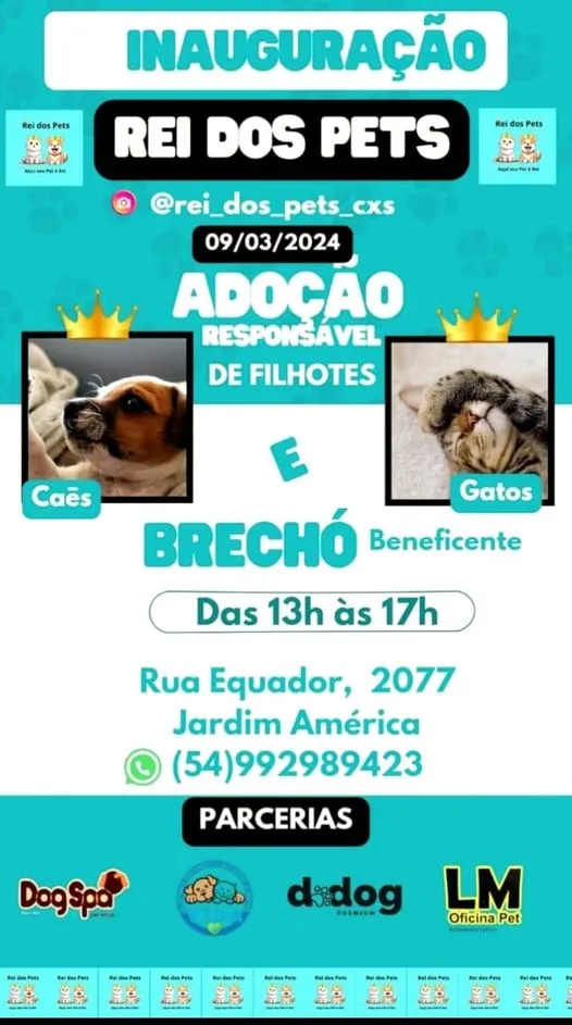 Feira de Adoção e Inauguração da Rei dos Pets em Caxias!