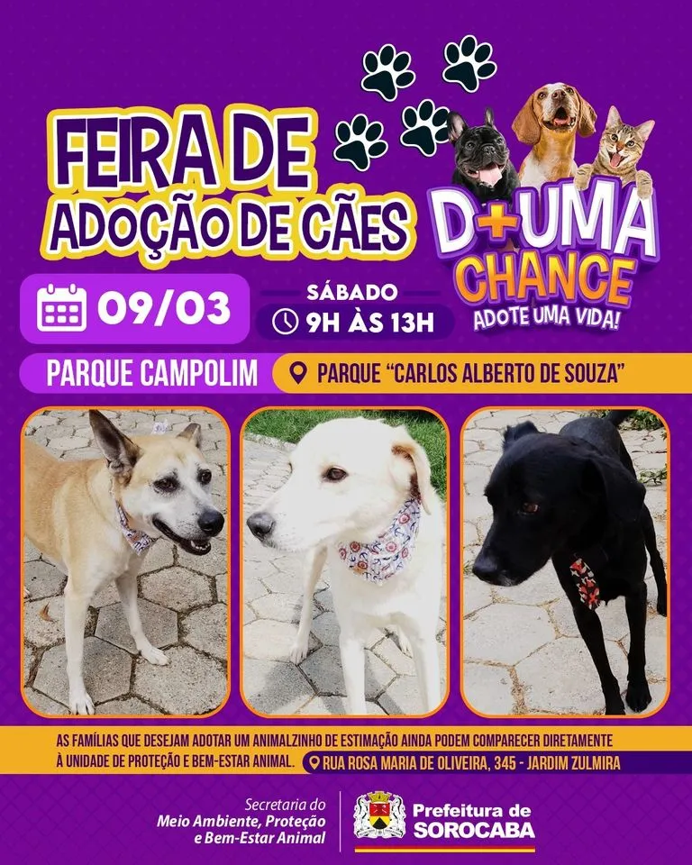 Feira de Adoção de Cães em Sorocaba - Dê uma chance, adote uma vida!