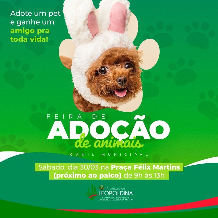 Feira e evento de adoção de cachorros e gatos - Feira de Adoção em Leopoldina: Encontre Seu Novo Melhor Amigo! em Minas Gerais - Leopoldina