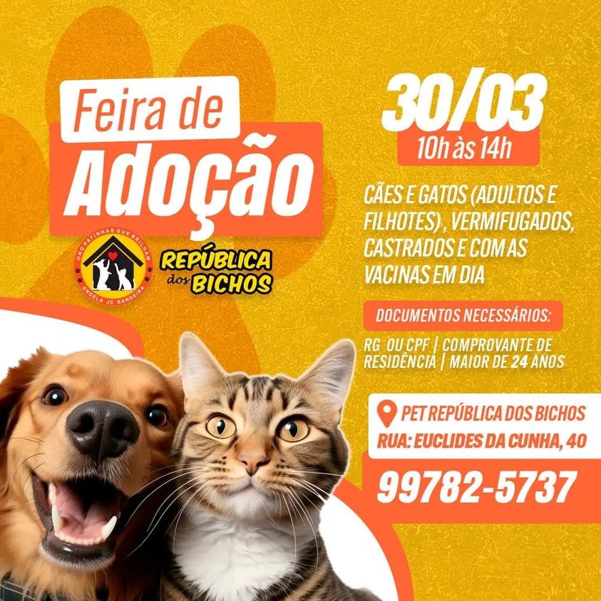 Feira e evento de adoção de cachorros e gatos - Encontre Seu Novo Melhor Amigo: Feira de Adoção de Animais em Santos! em São Paulo - Santos
